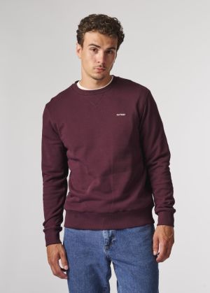  313 BURGUNDY