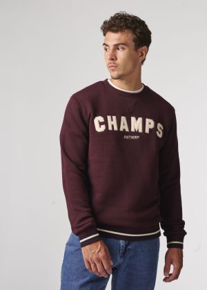  313 BURGUNDY