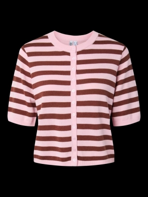 TINE ROSEATE SP/TAWN