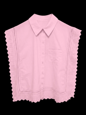 SUN ROSEATE SPOONBI